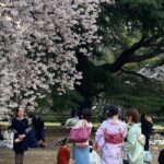 新宿御苑櫻花種類繁多，包括二月開花的冬櫻、三月下旬到四月初開花的染井吉野櫻、四月中開花一葉櫻與關山櫻，以及四月底開花的梅護寺數珠掛櫻（梅護寺的櫻樹）