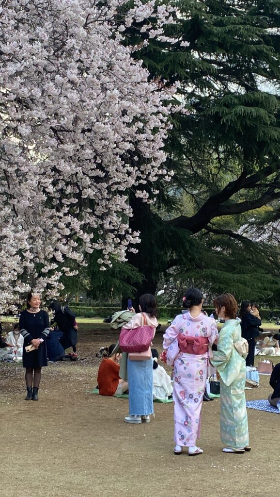 新宿御苑櫻花種類繁多，包括二月開花的冬櫻、三月下旬到四月初開花的染井吉野櫻、四月中開花一葉櫻與關山櫻，以及四月底開花的梅護寺數珠掛櫻（梅護寺的櫻樹）